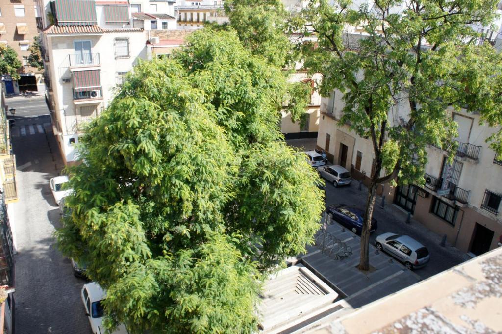 Pension Perez Montilla Sevilla Bagian luar foto